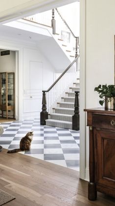 a cat sitting on the floor in front of a stair case next to a door