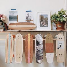 several skateboards lined up on a shelf next to a potted plant and pictures