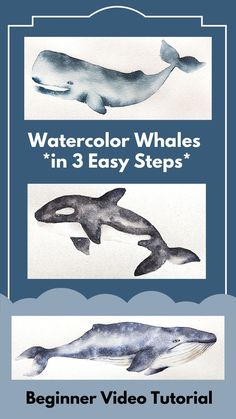 Watercolor Painting Tutorials Watercolor Whale Easy, How To Paint A Whale, Watercolor Whale Tutorial, Whales Watercolor, Whale Cake, Watercolor Whales, Watercolor Quotes, Paint Pallets, Beginner Drawing Lessons