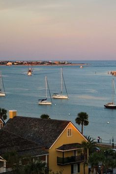 several sailboats are sailing in the water near houses and palm trees at sunset or dawn