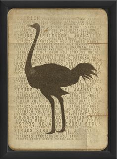 an ostrich silhouette is shown on the back of a page of old book pages