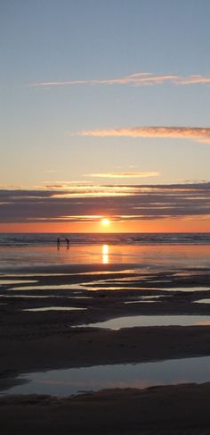 two birds flying over the ocean at sunset