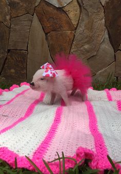 a small white dog standing on top of a pink and white blanket covered in yarn