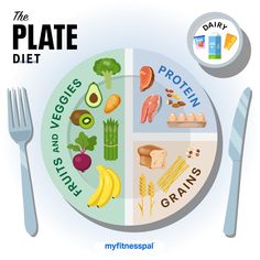 Plate Diet, Healthy Food Plate, Nutrition Plate, Milk Diet, Healthy Eating Plate, Diet Plate, Protein Fruit, Healthy Plate, Food Plate