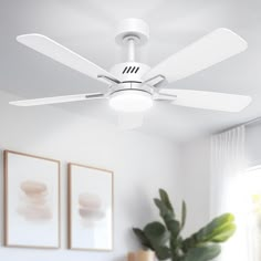 a white ceiling fan in a room with two pictures on the wall and a potted plant