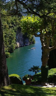 a lake surrounded by lush green trees next to a forest