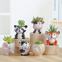 small ceramic animal planters are sitting on a wooden table with succulents