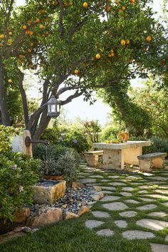 an orange tree is in the middle of a garden with stone walkways and benches