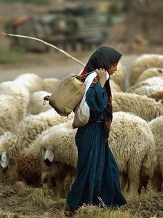 a woman walking in front of a herd of sheep