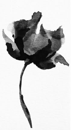 a black and white photo of a single flower on a white background with watercolor stains