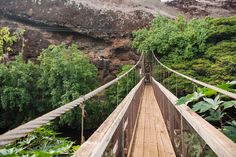 a wooden suspension bridge over a river surrounded by greenery