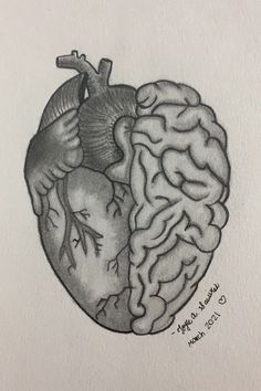 a drawing of a human heart and brain