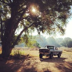 an old pick up truck parked under a tree in the middle of a dirt road