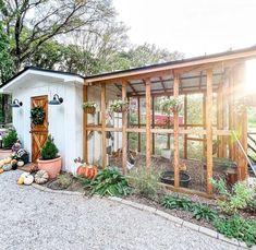 a small chicken coop in the middle of a gravel area with potted plants and pumpkins