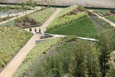 an aerial view of people walking on a path in the middle of a garden area