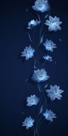 blue flowers on a dark background with long stems