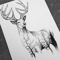 a drawing of a deer with antlers on it