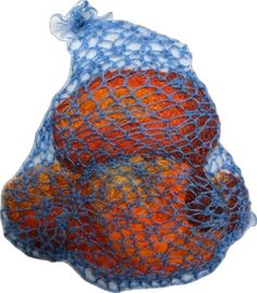 two oranges in a blue net bag on a white background with clipping to the side