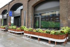 a row of planters sitting outside of a building