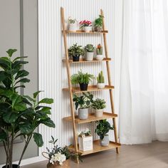 a wooden ladder shelf filled with potted plants