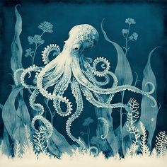 an octopus is swimming in the ocean with plants and algaes around it's edges