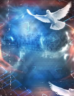 two white doves flying in the sky with blue and red lights around them on an abstract background