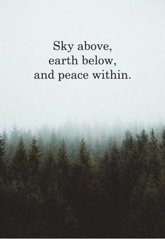 50+ Best Inspirational Quotes For Travel Lovers | Aesthetic Travel Quotes & Instagram Captions Short Nature Quotes, Nature Captions, Forest Quotes, Citation Nature, Nature Quotes Inspirational, Mother Nature Quotes, Quotes Nature, View Quotes, Best Travel Quotes