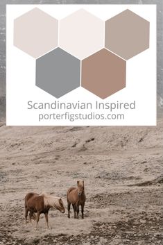 two horses standing in the middle of a field with mountains in the background and text overlay that reads scandinavian inspired portstuds com