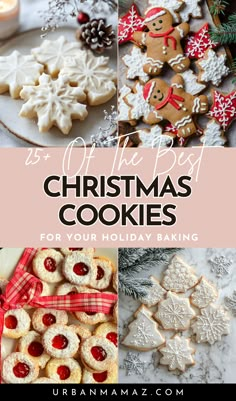 Christmas Cookies for Your Holiday Baking Festive Bakes, Christmas Baking List, Cookie Recipes For Christmas, Best Christmas Food, Christmas Sweets And Treats, The Best Christmas Cookies, Holiday Baking List, Christmas Sugar Cookies Decorated, Cookie Recipes Chewy