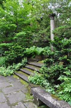 a stone bench sitting in the middle of a lush green forest