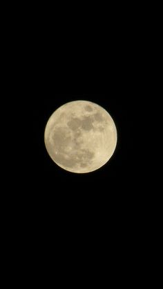 the full moon is seen in the dark sky