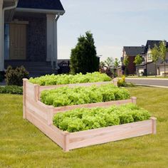 three wooden planters filled with green lettuce in front of a small house