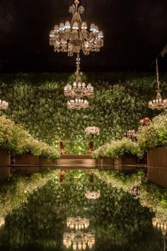 a chandelier hanging from the ceiling in front of a green wall covered with greenery