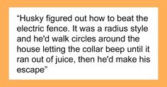 the text is written in black and white on an orange background that reads,'husky figured out now to beat the electric fence it was a radis style and he