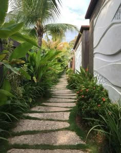 a stone path between two buildings with palm trees in the background