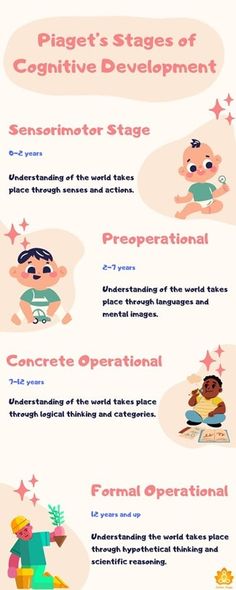 an info sheet describing the different stages of development in children's playrooms