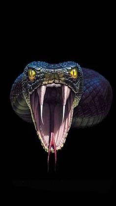 an image of a snake with its mouth open