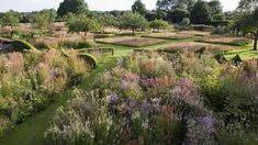 a lush green field with lots of purple flowers