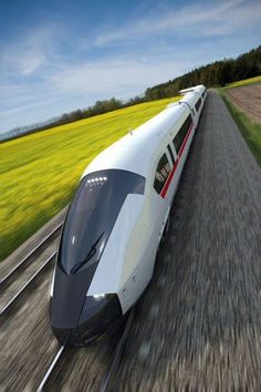 a high speed train traveling down the tracks in front of a yellow canolat field