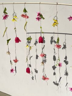 the flowers are hanging from the wire on the wall