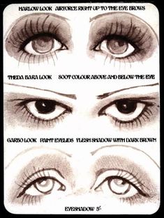 the different types of eyes and eyebrows