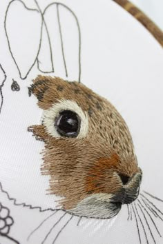 a close up of a bunny rabbit face on a white background with brown and tan trim