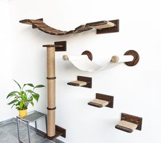 a white wall with wooden shelves and cat toys on the shelf, next to a potted plant