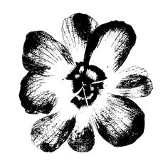 a black and white drawing of a flower