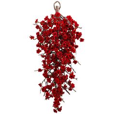 a red plant hanging from a metal hook on a white background with clippings