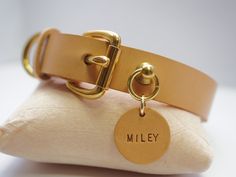 a tan leather dog collar with personalized tag