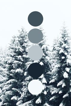 a black and white photo with circles hanging from the top of snow - covered trees