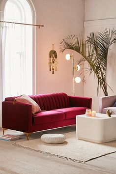 a living room filled with furniture next to a large potted plant and a window