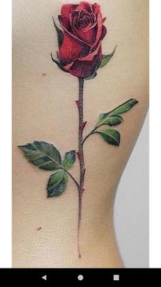 a rose tattoo on the back of a woman's stomach, with green leaves