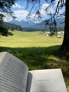 an open book sitting on top of a grass covered field next to a forest filled with trees